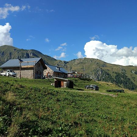 Casa Vacanze Lavanda & Rosmarino Telve Dış mekan fotoğraf